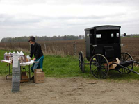 Amish Amish